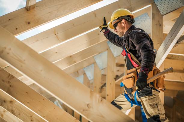 Best Roof Gutter Cleaning  in Lexington, IL