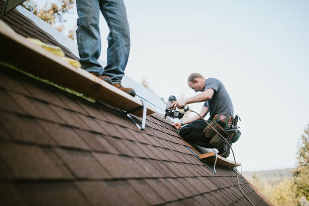 Best Roof Gutter Cleaning  in Lexington, IL